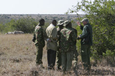 Solio rhino as part of monitoring programme